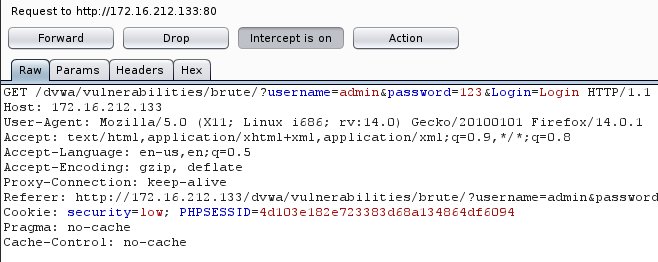 Capturing the HTTP Request