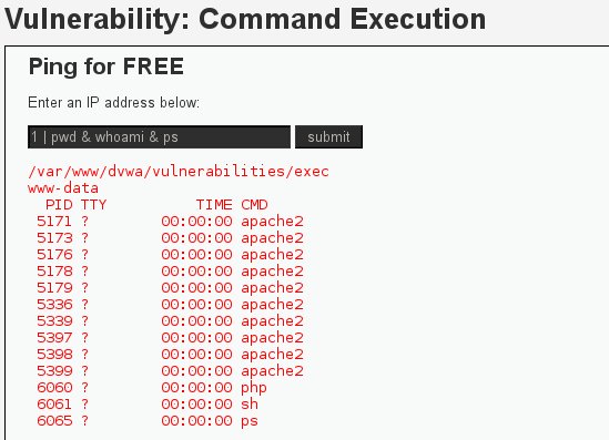 execution of multiple commands