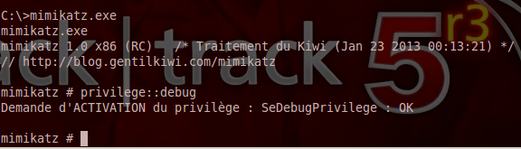 Executing Mimikatz