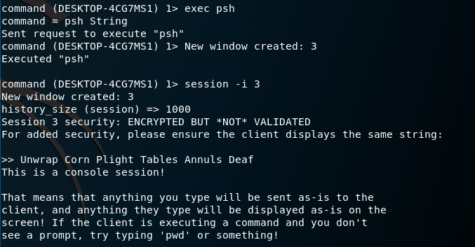 Command and Control – DNS – Penetration Testing Lab
