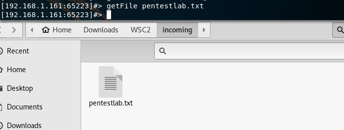 WSC2 - Data Exfiltration