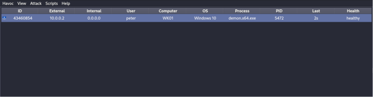 Persistence – Visual Studio Code Extensions – Penetration Testing Lab